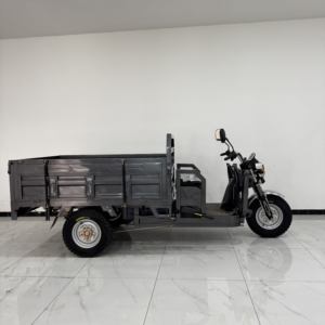 Tricycle électrique express à conteneur ouvert LEON, autres tricycles, vélo <span class=keywords><strong>cargo</strong></span> à vendre - Product Image 2
