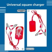 Pengisi daya baterai portabel USB tipe-c 5W, pengisi daya baterai dengan kabel Data multifungsi, 2 klip baterai untuk penggunaan ponsel & kamera