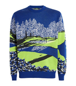 Custom High Quality Premium Spring Autumn Crew neck Pullover Embroidery Jacquard Intarsia <b>Jumper</b> Cotton Wool Sweater - Product Image 5