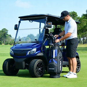 Carrito de <span class=keywords><strong>Golf</strong></span> Eléctrico Económico, Compacto para Ocio Personal y Desplazamientos de Corta Distancia - Product Image 2