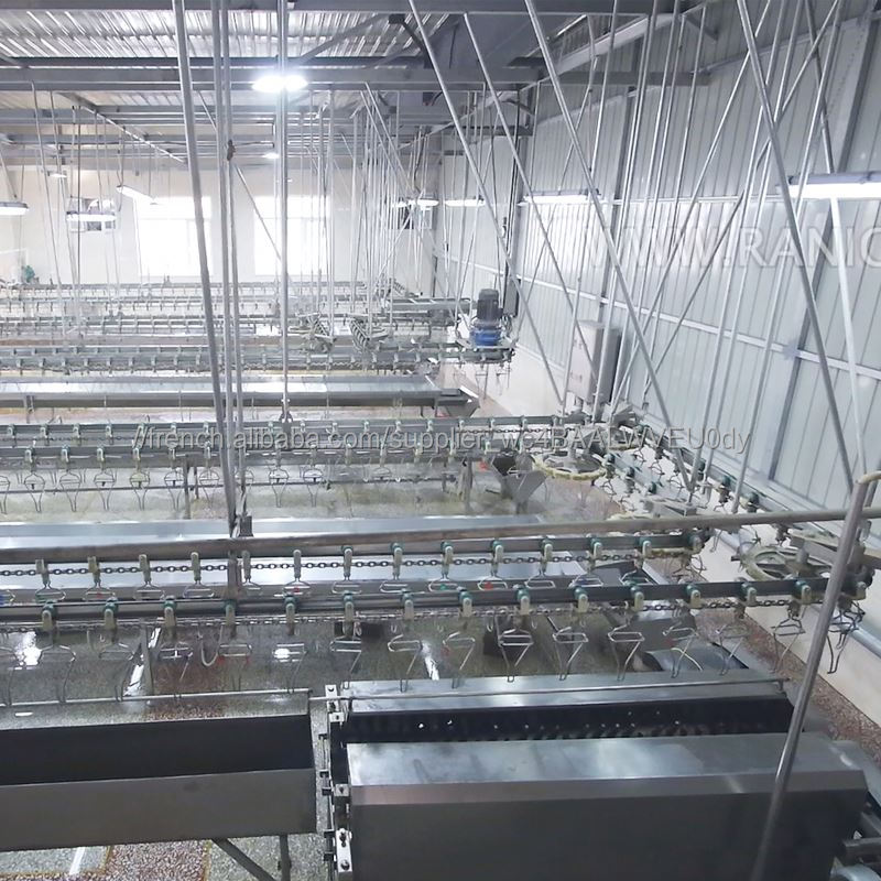 Halal Poulet Plumeuse Machine D'abattage 100Bph Équipement D'abattage D'abattoirs À Vendre