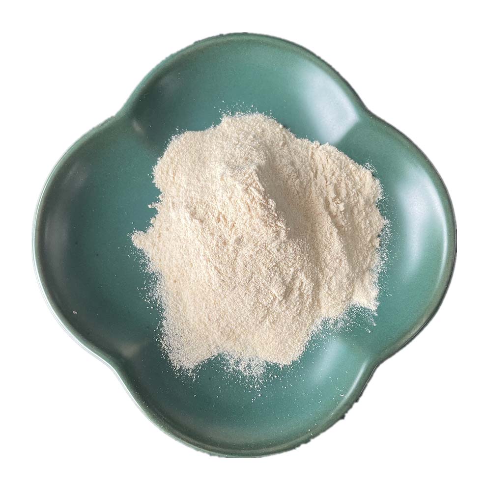Landnutra Factory Supply Garlic Extract Allicin Powder Garlic Extract Powder