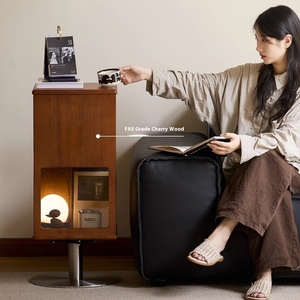 Offre Spéciale armoire <span class=keywords><strong>de</strong></span> <span class=keywords><strong>rangement</strong></span> en bois massif 360 Rotation étagère étagère d'angle en acier inoxydable salon meubles bibliothèques <span class=keywords><strong>CD</strong></span> supports - Product Image 5