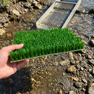 Tapis en herbe synthétique HDPE durable pour <span class=keywords><strong>la</strong></span> prospection aurifère, avec support non-tissé, imperméable et écologique, pour <span class=keywords><strong>la</strong></span> prospection aurifère en rivière et en ruisseau - Product Image 2