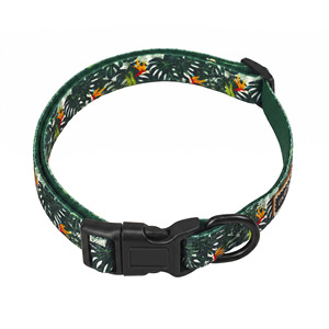 Ensemble laisse et harnais pour chien Nanea Tropical avec bandana à nœud papillon - Product Image 5
