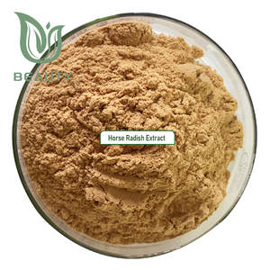 Poudre d'extrait de radis cheval biologique Offre Spéciale poudre de racine de raifort pure suppléments diététiques de qualité alimentaire <span class=keywords><strong>sans</strong></span> <span class=keywords><strong>gluten</strong></span> antioxydant - Product Image 2