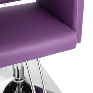 Mor renkte Modern çelik berber sandalyesi-berber oturma odası fabrika toptan için seçenek <span class=keywords><strong>Salon</strong></span> mobilya ekipmanları - Product Image 5