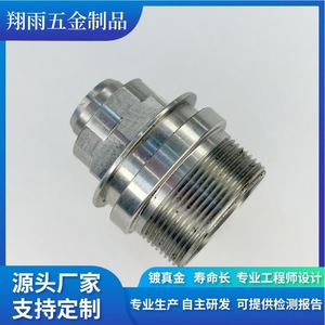 Pièces en fer non standard usinées sur mesure, composants de précision tournés sur tour, diamètre max. 20 mm, longueur 80 mm, finition - Product Image 3