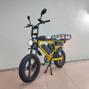 52V Electric Cargo Bike Dual Motor 2000W 66Ah Strong Suspension Hydraulic Brake Anti-Punctured Fat Tire Electric Bike