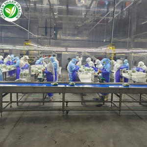 Commercio all'ingrosso IQF verde <span class=keywords><strong>Edamame</strong></span> in baccelli/noccioli singoli semi di soia surgelati in conchiglie prezzo competitivo del fornitore - Product Image 4