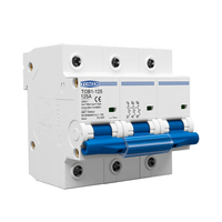 RAIL DIN TOMZN 3P AC MCB TOB1-125 400V ~ 50/60Hz Disjoncteur 80/100/125A Commutateur de déconnexion à courant élevé 10kA PA66 triphasé