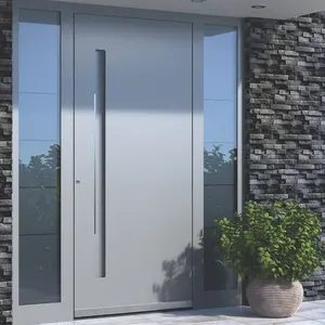 Système d'entrée de porte sans clé de luxe porte d'entrée voûtée en acier inoxydable double porte
