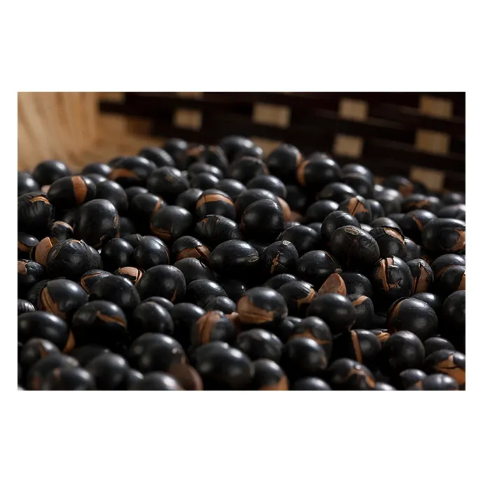 Delicious unique roasting wholesale flavor tea black soybeans flavored detox tea