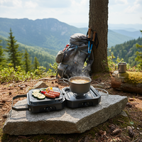 Vente flash - Réchaud à gaz de camping CE, nouveau design, deux brûleurs, mini-réchaud d'extérieur, four pliable, grill portable