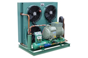 Hệ thống làm mát đơn vị làm lạnh với bitzer lớn 20HP Máy làm lạnh bán kín ngưng tụ đơn vị giá cho tủ đông phòng - Product Image 5