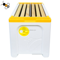 Nuevo 6-Frame Beehive Queen Nuc Bee Box para Apicultura