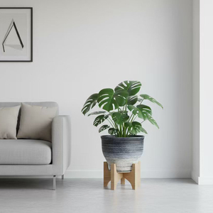 กระถางต้นไม้พลาสติกมาเซตัสแบบมีผิวด้านสำหรับตกแต่งบ้านในร่มกระถางต้นไม้ขนาดใหญ่สไตล์จีนใหม่ - Product Image 5