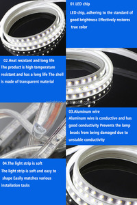 <span class=keywords><strong>220V</strong></span> extérieur étanche Double rangée double blanc chaud blanc <span class=keywords><strong>bleu</strong></span> violet Flexible 120leds 5730 <span class=keywords><strong>LED</strong></span> bande lumineuse <span class=keywords><strong>ruban</strong></span> <span class=keywords><strong>ruban</strong></span> Luz Luce - Product Image 4