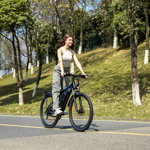 Bicicleta Eléctrica de Montaña Duotts C29 con Motor de Cubo Trasero, 21 Velocidades, Batería de Litio, Motor sin Escobillas, Cuadro de Aluminio Todoterreno - Product Image 1