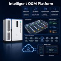 Sistema Solare All-in-One C&I con Batteria di Accumulo Energetico Inedge Power OEM/ODM 105KW/208KWh 125KW/261KWh Raffreddata a Liquido LFP