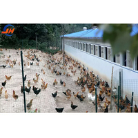 Équipement d'élevage avicole : Conception de bâtiments en bois et structure en acier pour poulaillers de poulets de chair