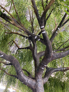 Árbol <span class=keywords><strong>de</strong></span> sauce llorón Artificial <span class=keywords><strong>de</strong></span> tacto real, <span class=keywords><strong>ramas</strong></span> <span class=keywords><strong>de</strong></span> PE personalizables, resistente a los rayos UV para vestíbulo <span class=keywords><strong>de</strong></span> Hotel, parque, jardín, planta Premium - Product Image 5