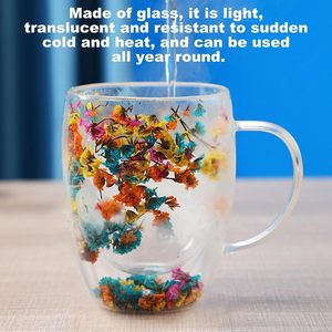 Vente en gros de tasses à café et à thé en verre borosilicate à double paroi isolées de 12 oz avec fleurs séchées - Product Image 4