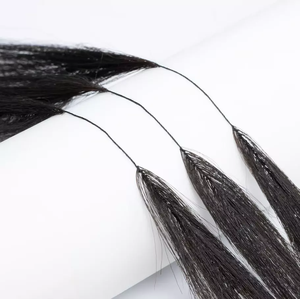 En gros Russe 12a Réel 6d Plume Ligne Extensions de Cheveux Extension de Cheveux Humains 100% Plume Cheveux Deux Brins Connectés - Product Image 2