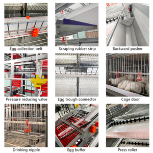 <span class=keywords><strong>Venta</strong></span> caliente pollos criados jaulas criador <span class=keywords><strong>gallinas</strong></span> ponedoras Gallo criador jaula para la <span class=keywords><strong>venta</strong></span> en la granja avícola <span class=keywords><strong>de</strong></span> Karachi - Product Image 4