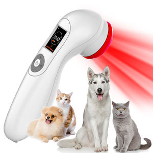 Fizik tedavi ekipmanları ağrı kesici iç<span class=keywords><strong>in</strong></span> soğuk lazer fizyoterapi elektrik akupunktur - Product Image 6