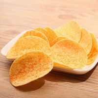 Halal groothandel hete verkoop exotische snacks aardappelchips 45g zak knapperige snack bulk