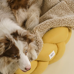 بطانية كلب نعسان بطانية كلب أليف وسادة قطة بساط قطن مخصص دافئة للكلاب - Product Image 3