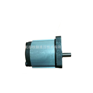 ปั๊มเกียร์ Ronzi รุ่น 02ZAG11E032D 32 ลิตร/นาที 250 บาร์ ผลิตจากเหล็กหล่อ ผลิตในอิตาลี - Product Image 5