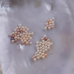 Zhuji Wholesale Freshwater Pearl <b>Powder</b> Beads Small White and Purple Particles Non-Porous Raw Materials <b>Pink</b> Colored Pearls - Product Image 3