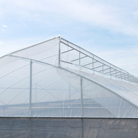 Serre agricole personnalisée à meilleur prix d'usine Serre en dents de scie en acier galvanisé à chaud de qualité supérieure pour la zone tropicale