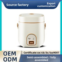 Olla Arrocera Eléctrica Cuadrada de Plástico, Venta al por Mayor de Fábrica, Nuevo Modelo Doméstico de 3L y 200W, Control Mecánico, Apagado Automático