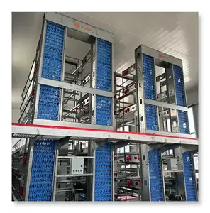 Hot Galvanized H Type Poultry Farm Equipment Battery Layer Automatic Chicken Cage With Egg Laying System