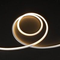 Lampu LED Neon Strip 3D Planar Emitting Outdoor IP67 10x10mm 120LEDs/m, Tali Silikon Fleksibel yang Dapat Dibengkokkan Sesuka Hati untuk Fasad