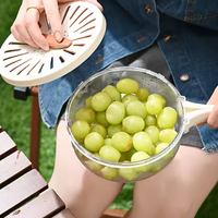 Panier de lavage pour fruits et légumes, récipient de rangement alimentaire de cuisine avec poignée pliable, fonction d'égouttage, chauffable et étanche