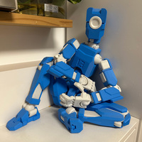 Service d'impression 3D FDM, fabrication sur mesure de statues, jouets, modèles en PLA, ABS, PETG, vente en gros, commande en gros, OEM