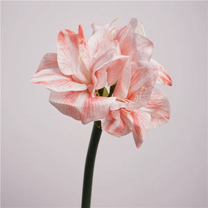FL-991 Orchidée de haute qualité au toucher réel Fleurs d'<span class=keywords><strong>amaryllis</strong></span> en soie de haute qualité pour la décoration de Noël, de mariage et de la maison Rose Blanc - Product Image 3