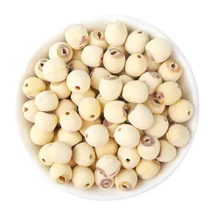 Graines de Lotus séchées naturelles blanches de qualité alimentaire Bai Lian Zi