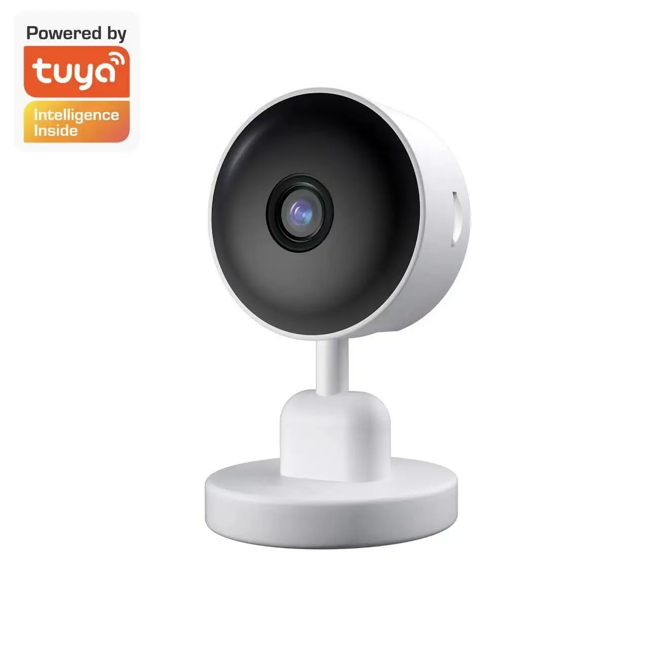 TUYA Motion Alarm Video Recording Invisible IR Night Vision Rechargeable Battery Tuya smart indoor Camera