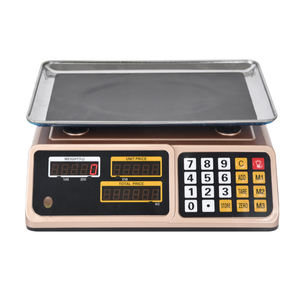 Sri Lanka 30kg Doubleled <strong>Scott</strong> Weghing Weigh Beam Price Computing <strong>Scale</strong> - Product Image 4