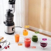 Custom Logo Elektrische Roestvrijstalen Oranje Groente Fruit Langzaam Kauwen Juicer Machine Commerciële Koudgeperste Juicer