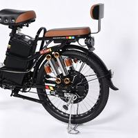 Vélo électrique OEM & ODM 500W, vitesse maximale 45 km/h, avec panier de rangement avant, siège passager et dossier