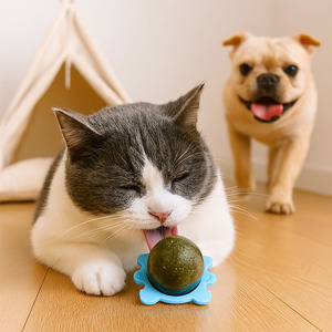 Giocattolo interattivo all'ingrosso della palla del gatto del Silicone del cane del gatto del giocattolo resistente del cane per la pulizia dei denti che masticano ed il gioco divertente - Product Image 4