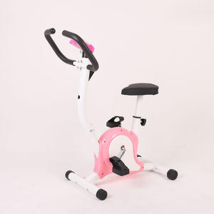 Cyclette Pieghevole COCOLE per Fitness Domestico, Resistenza Magnetica Intelligente, Trasmissione a Cinghia, in Acciaio, Design Robusto - Vendita Calda - Product Image 4