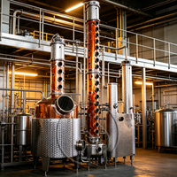 Équipement de distillerie de whisky Huashang : Alambic en cuivre sur mesure et colonne de rectification en acier inoxydable pour spiritueux artisanaux