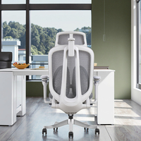 Chaise de bureau ergonomique en maille grise réglable avec support lombaire auto-ajustable, vérification de la certification de la classe 3, vérin à gaz, base en alliage d'aluminium, moderne